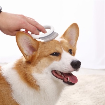 Pet Accessary