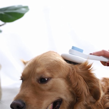 Pet Accessary