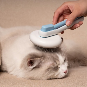 Pet Accessary