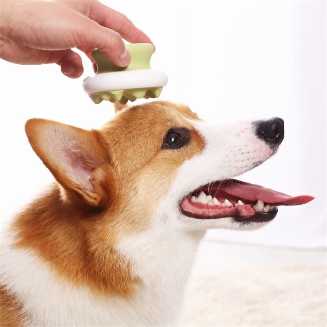 Pet Accessary