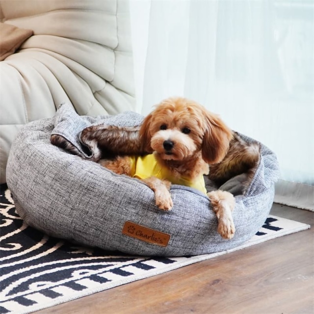 Pet Bed