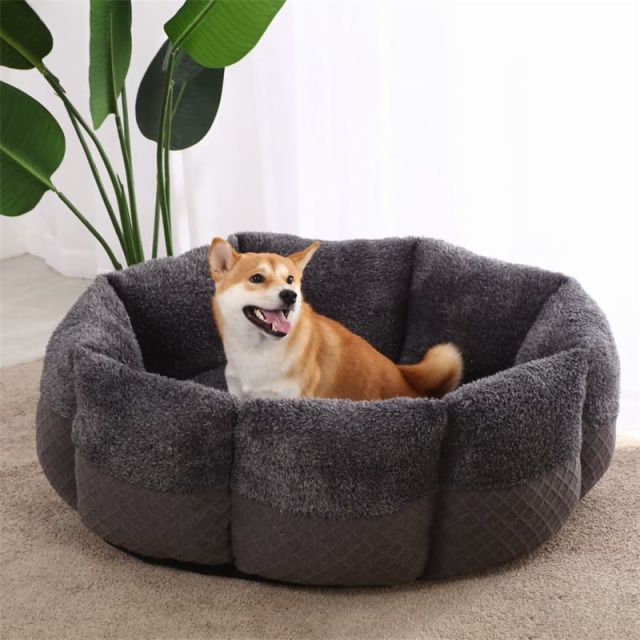 Pet Bed