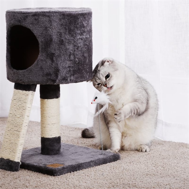 Cat Tree