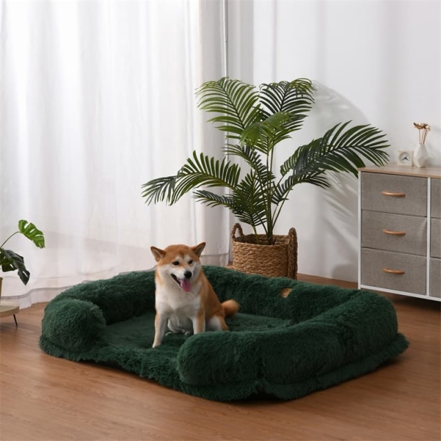 Pet Bed