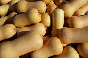 Butternut Squash