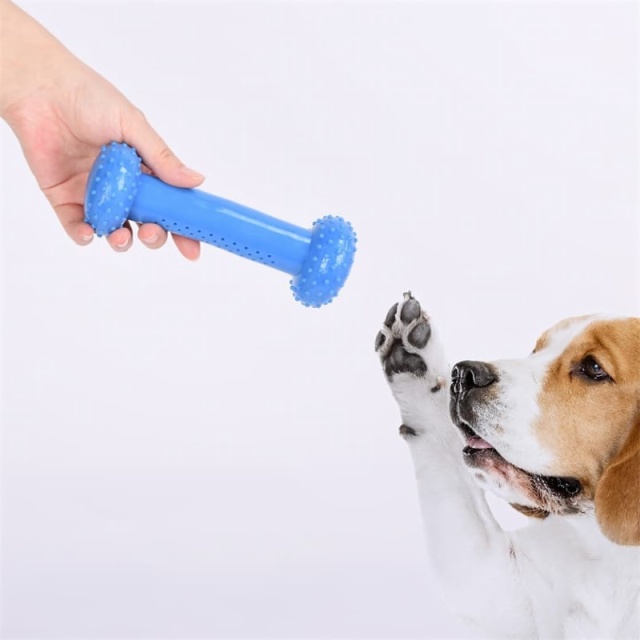 Pet Toys