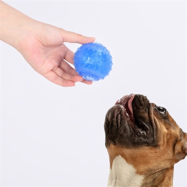 Pet Toys