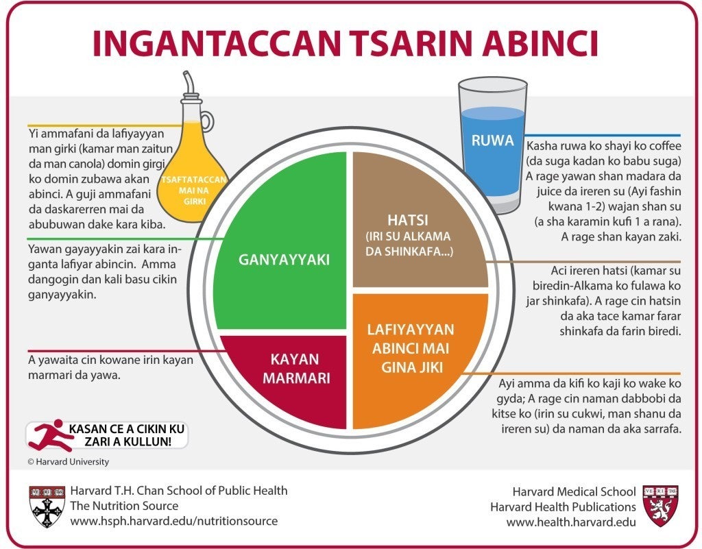 Healthy Eating Plate Hausa