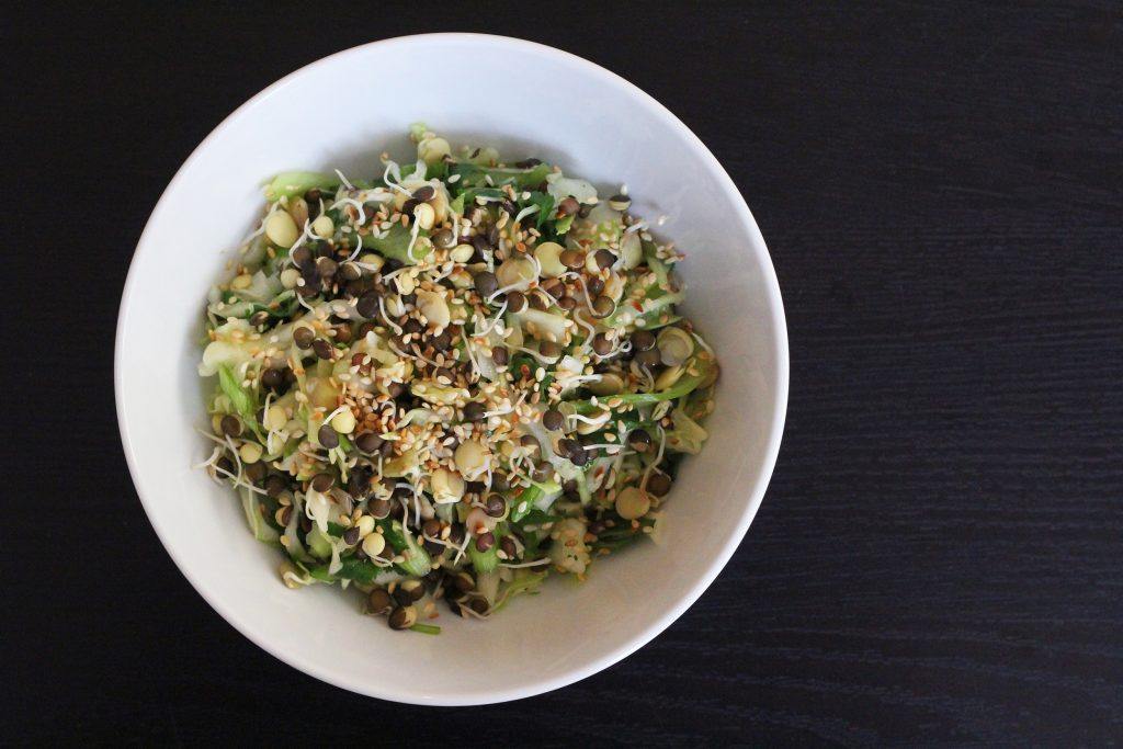 Slaw made with cabbage, sprouted lentils, celery, and a tangy dressing