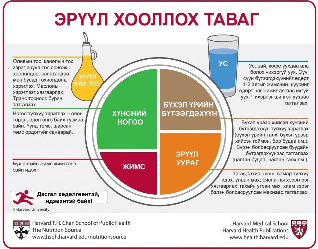 Mongolian Healthy Eating Plate Translation