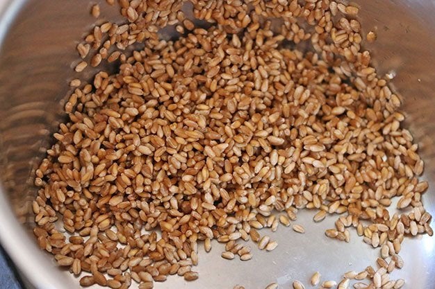 wheat berries in a pan