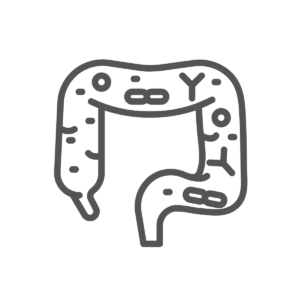 Illustration of an intestine with gut bacteria