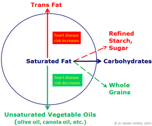 Chart of saturated fat and disease risk